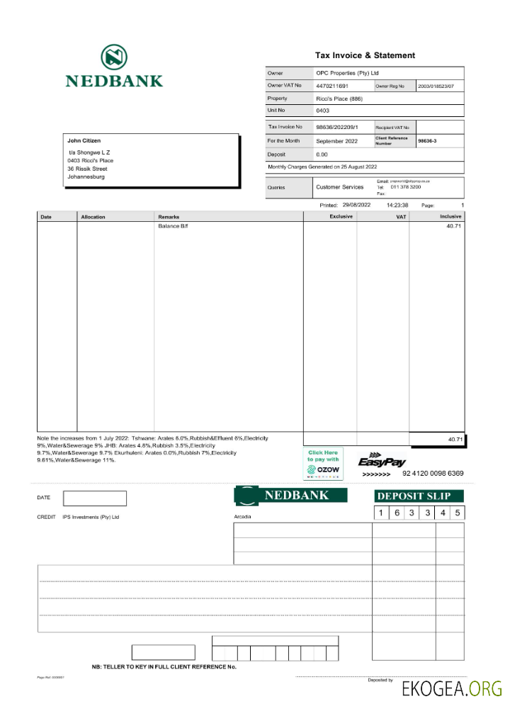 Déclaration de Nedbank en Afrique du Sud Modèle Word et PDF scr